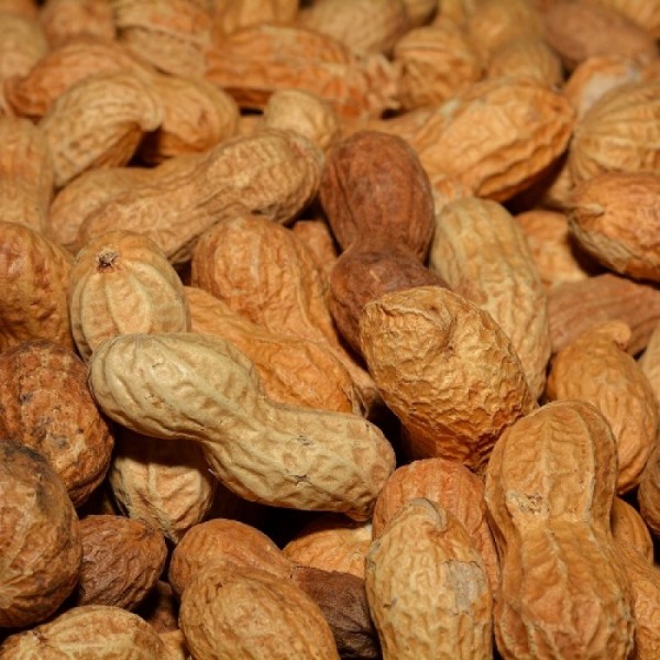 Pinda's in Dop - Doppinda's (2.5KG) Pinda's in Dop - Doppinda's (2.5KG)