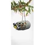 Combideal: Singing Friend Esmee + 12 potten Vogelpindakaas Naturel