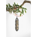 Mezenbol Zonder Net - 50 stuks | Met 100% gerecyclede mezenbolhouder