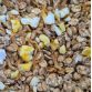 Vogelmuesli met garnalen - 1,5kg 