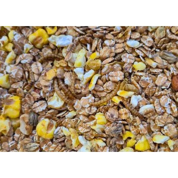 Vogelmuesli met meelwormen - 1,5kg 