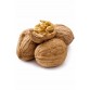 Walnoten in dop - 3kg 